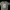 Kaos Dickies Quality Workwear photo 2