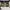 Marc Jacobs Luxury Shoulder bag Wanita white black photo 4