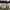 Marc Jacobs Luxury Shoulder bag Wanita white black photo 1