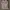 Outdoor Research Avant Garde Hoody Pria gray photo 1