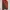 Vintage Casual Parka Pria red orange photo 6