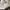 Slazenger Vintage Sportswear Sweater Pria cream photo 4