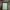 The magic library  photo 2