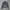 Whistles Leather Bikers Jacket Authentic