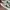 Nike Killshot OG SP Sail Gorge Green photo 5