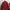 Nike Sportswear Windbreaker Pria burgundy photo 3