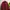 Nike Sportswear Windbreaker Pria burgundy photo 1