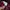 Nike Sportswear Windbreaker Pria burgundy photo 4