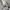 BURBERRY SHIRT SIZE M photo 9