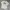 T Shirt Stussy photo 3