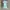 HOT33 - Dress Midi Kerah Boneka Rok A Line photo 2
