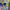 Kose facial white mask  photo 3