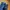 LONGPANTS H4NES  BLUE JEANS photo 5