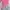 Minimalist Casual Crop top Wanita pink photo 2