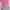 Minimalist Casual Crop Top Wanita Pink