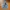 LONGPANTS D4NI3L DODD BLUE JEANS photo 3