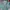 Streetwear Sportswear Windbreaker Pria green cream photo 2