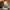 OG96 Online RealTree Camo Cargo Pants photo 8