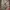 OG96 Online RealTree Camo Cargo Pants photo 5
