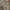 OG96 Online RealTree Camo Cargo Pants photo 3