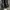 Dr martens chelsea boots flora red arcadia  photo 2