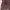 TIMBERLAND Bluebell Suede Chelsea Boots photo 7