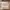 Polene Vintage Casual Shoulder bag Wanita white gray photo 2