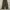 Uniqlo One Tuck Wide Baggy Pants Olive photo 9