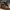 TIMBERLAND Paxton Hill Suede Ankle Boots Made In Cambodia