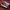 SALE!!! 41-42 CONVERSE CT BEYOND RETRO STRIPE MULTI PANEL photo 3
