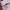 New Balance Streetwear Sportswear Sneakers Wanita silver white photo 2