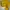 Adidas Track Jacket Yellow era 90 photo 2