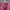 HOT47 - Outer Collar Oversized Stylish De Java photo 4