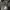 Everlast Casual Hoody Pria gray photo 4