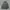 HUF Streetwear Casual Hoody Pria Gray