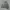 Oioi Streetwear Casual Hoody Pria gray photo 1