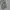 Oioi Streetwear Casual Hoody Pria gray photo 4