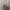 Burberry Nova Cheeks Cottage Woman Shirt S Size photo 5