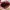 Lolita Coquette Crossbody Bag Wanita multicolor red photo 4