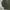 8SECONDS JUNGLE FATIGUE JACKET SUN FADED  photo 3
