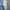 Long Overcoat Wool Putih Gading photo 3