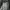 Trench Coat Plaid Kombinasi Fur photo 7
