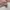 Uniqlo Peach Sweatshirts Crewneck Basic Color Cotton photo 5
