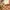 Y2K Avant Garde Handbag Wanita orange photo 6