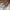 VANS Casual Sneakers Pria white brown photo 3