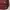 Porter International 10 Years Anniversary Maroon Shoulder Ba