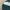 Spao Streetwear Sweatshirt Pria green photo 2
