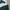 Spao Streetwear Sweatshirt Pria green photo 3