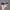 Rayban Sungglasses Series Mega Lite Sand Black Matte Gradien photo 5