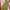 H&M Y2K Bodycon dress Wanita green photo 1